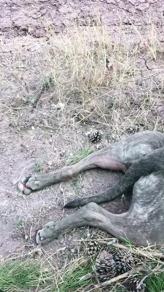 @ByTo6