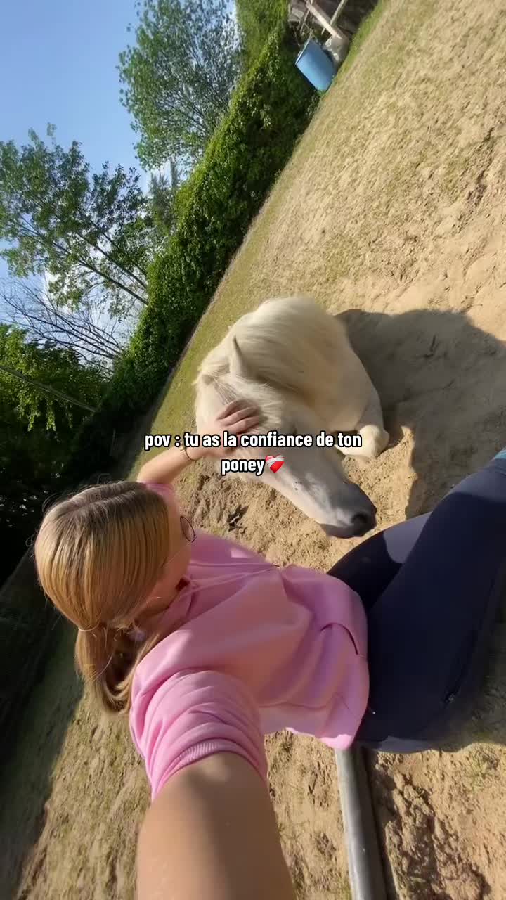 @benjyylepetitponey