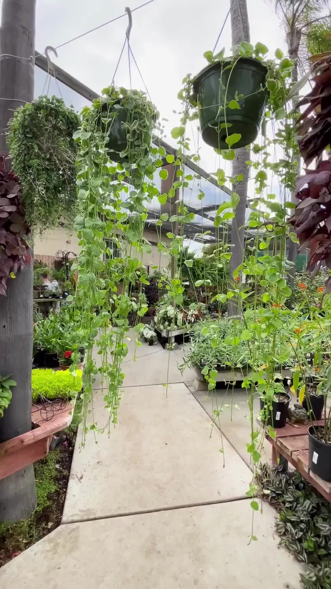 @The_Plant_Blogger