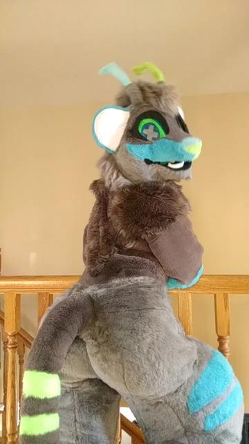 @Nexa Ferret