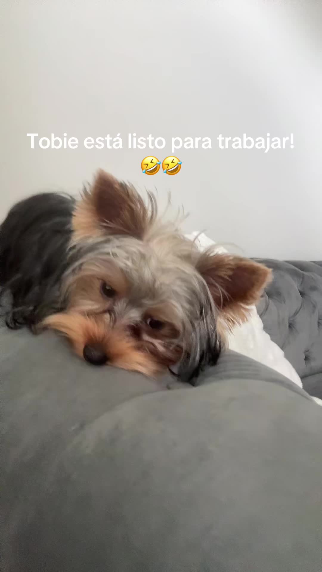 @María