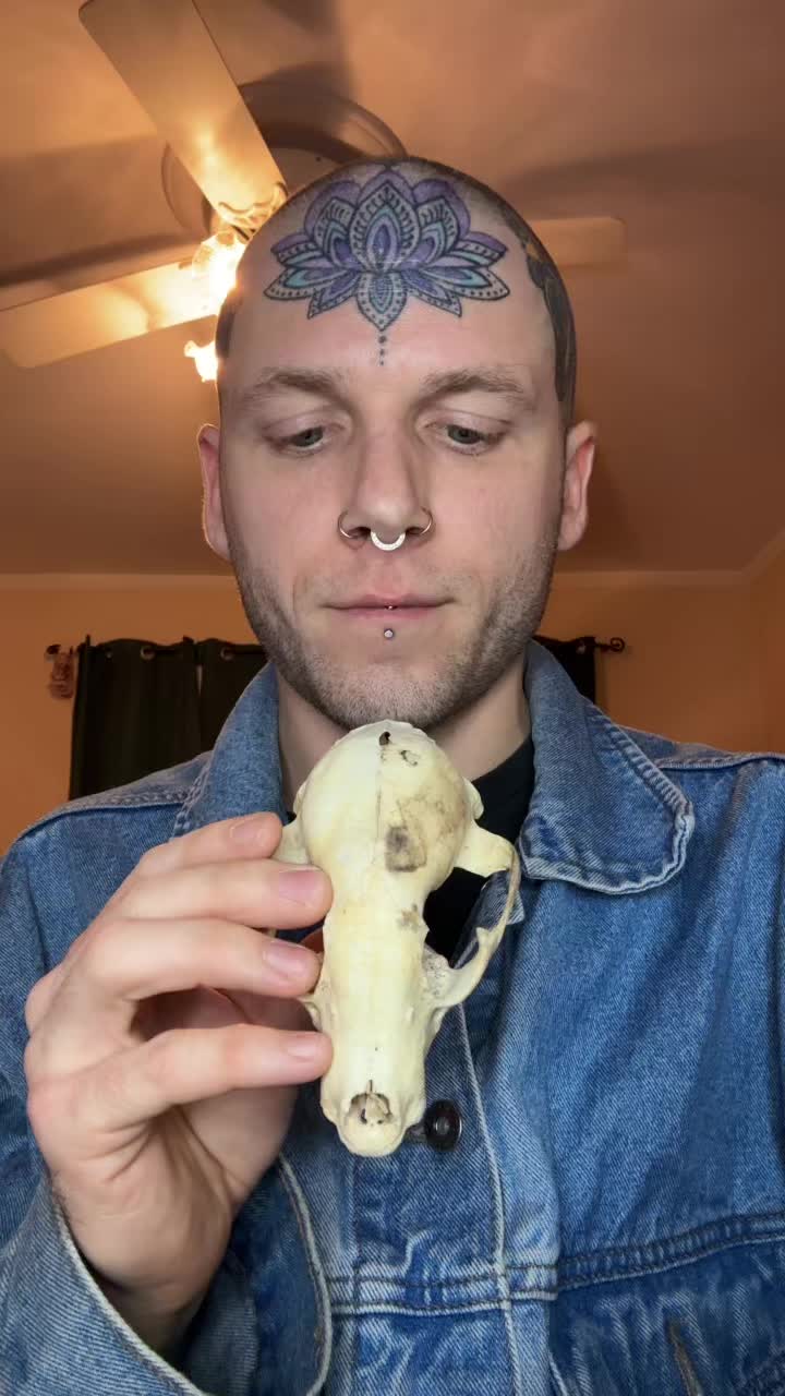 @funinfinitecreator
