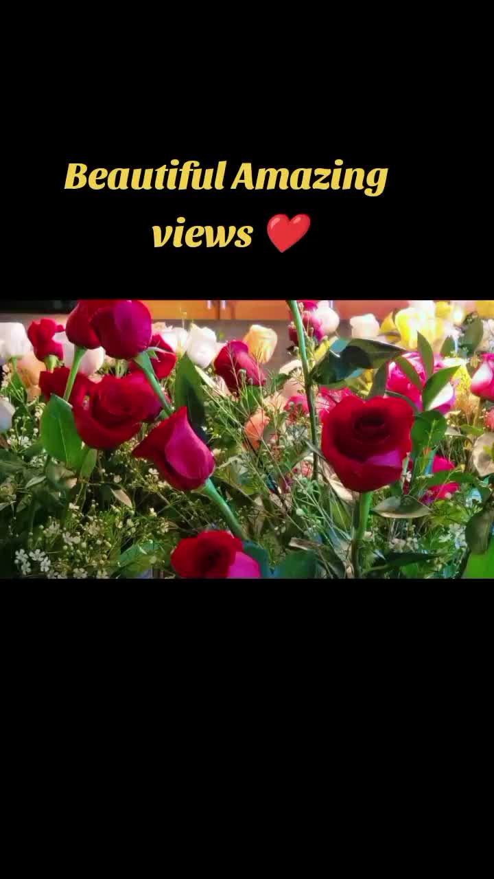 @fb9fb9164238