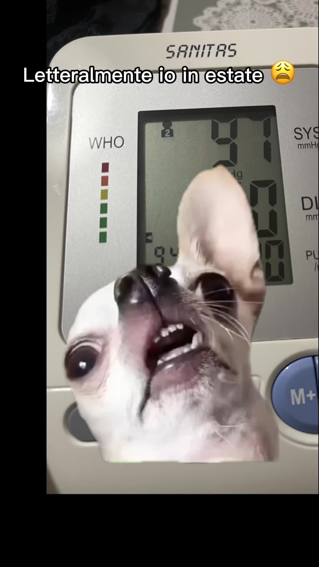 @andreacino98