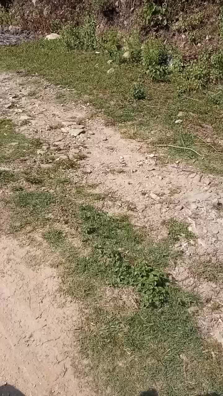 @उत्तम प्रताप जंग बहादुर राणा