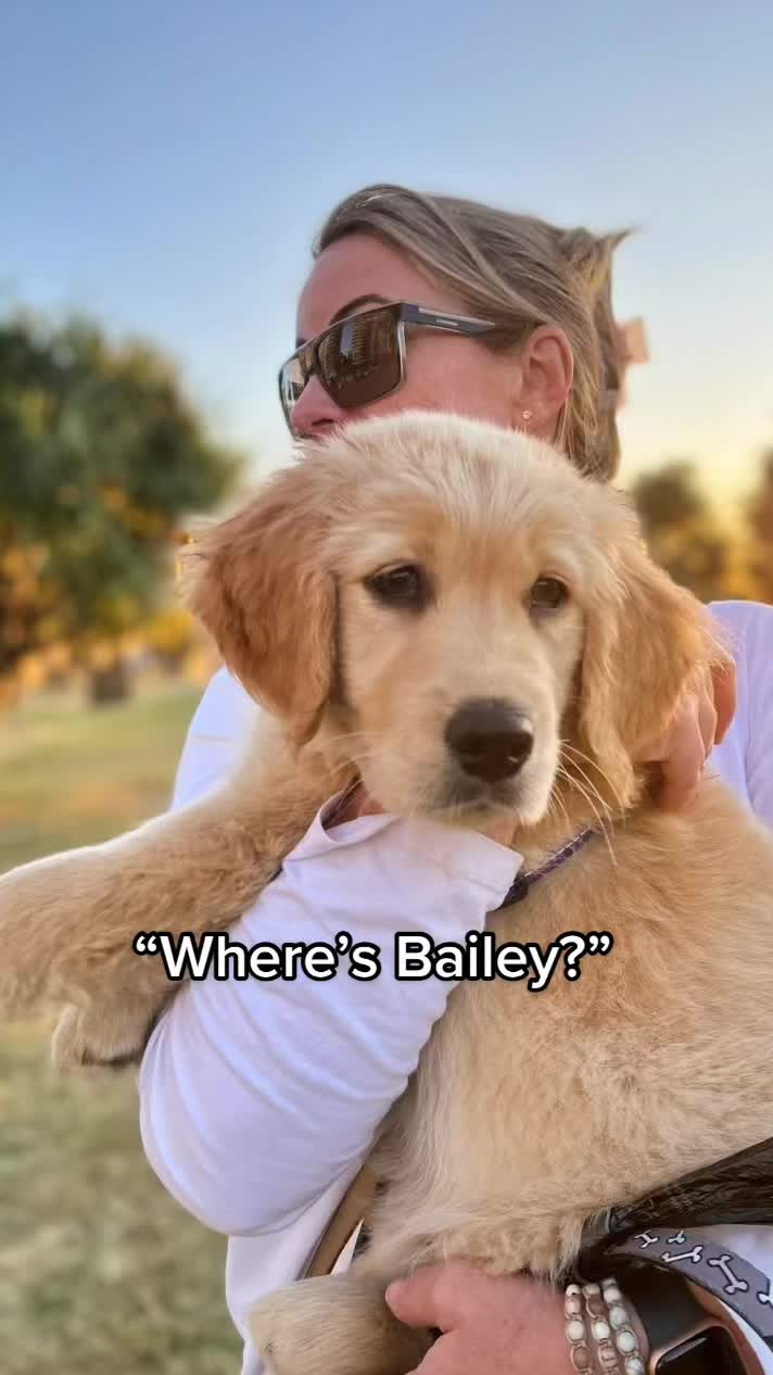 @Scout and Bailey 🐕🐶