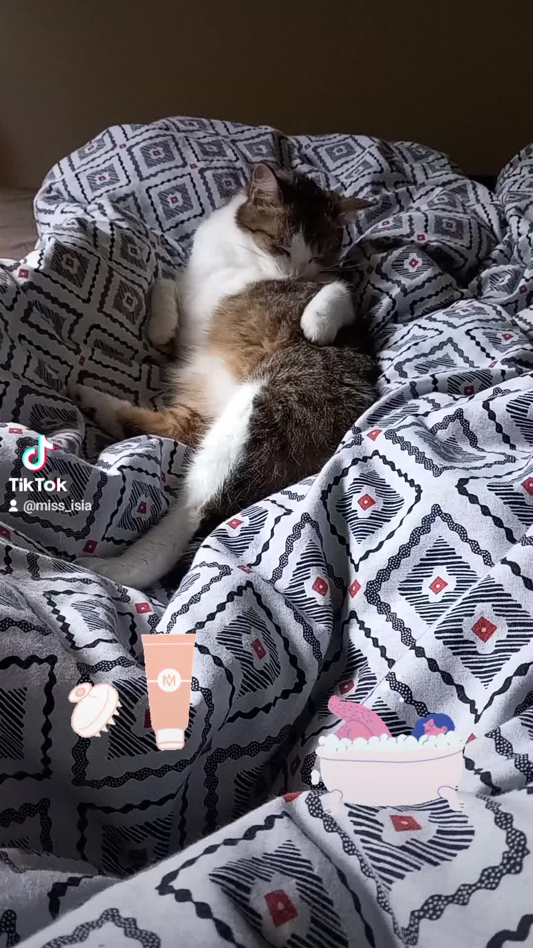 @Pêche 😺