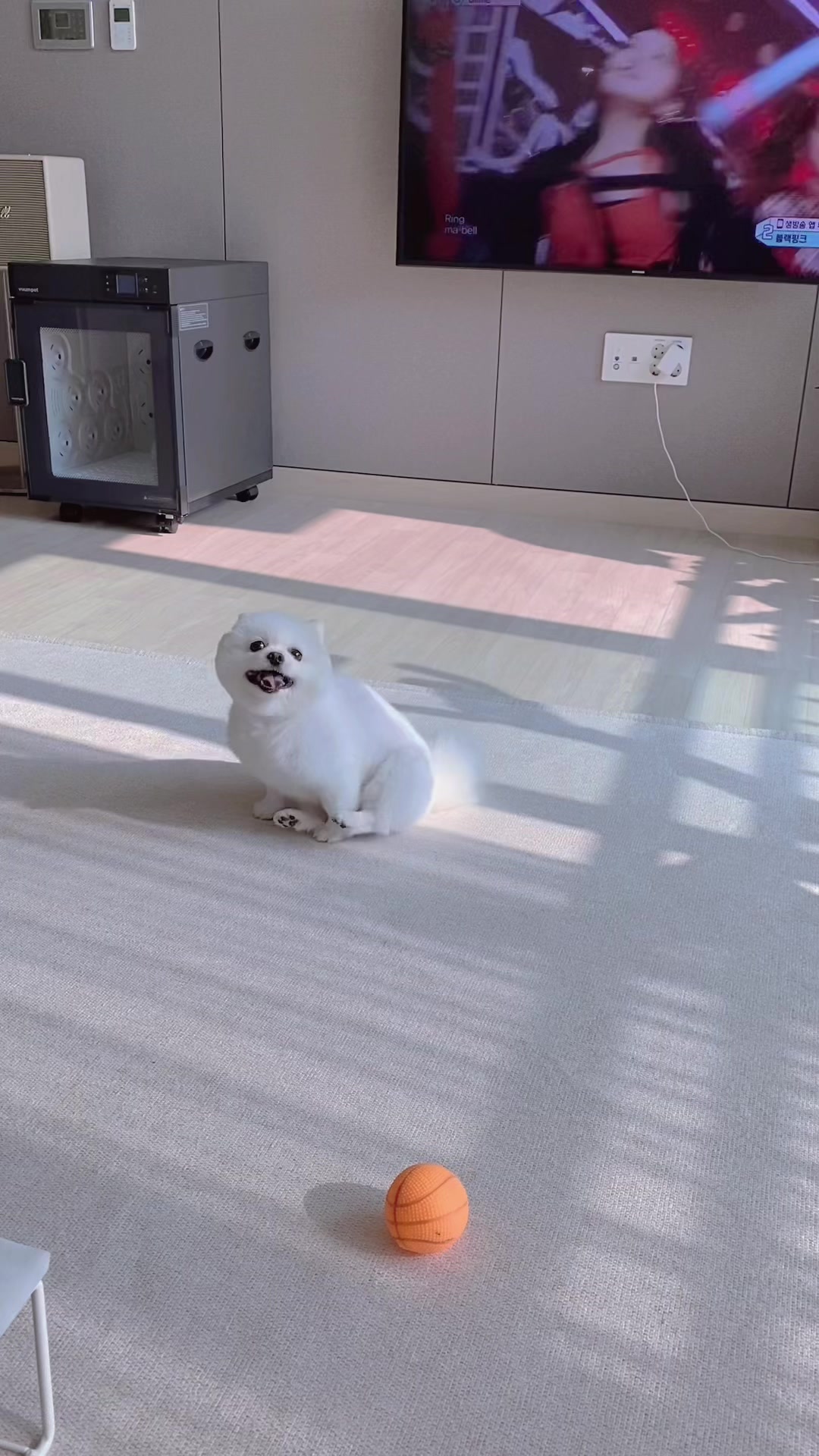 @권하리
