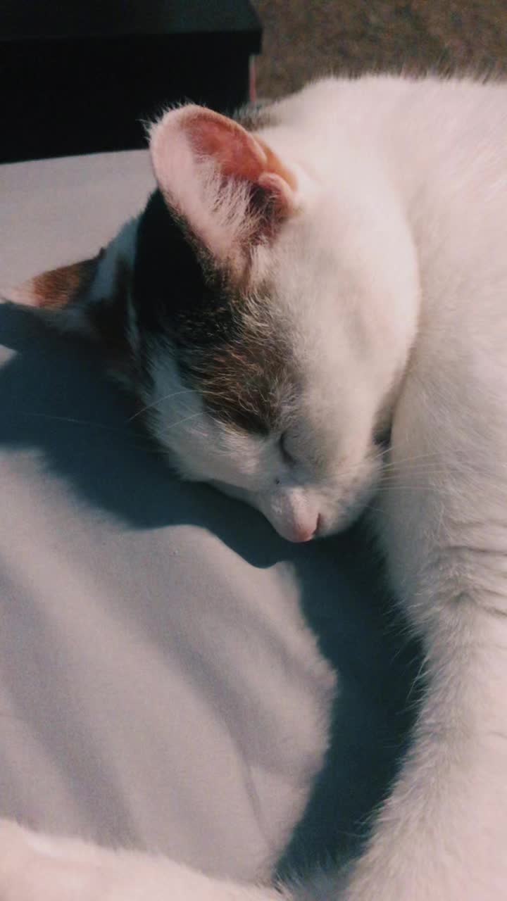 @d0ubtd4y