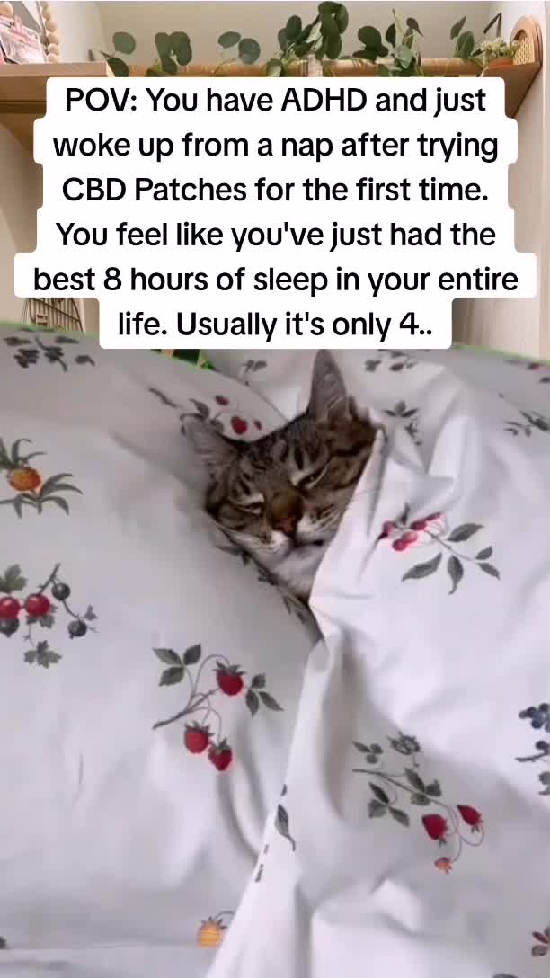 @WellnessMemes❤️&zwj;🩹