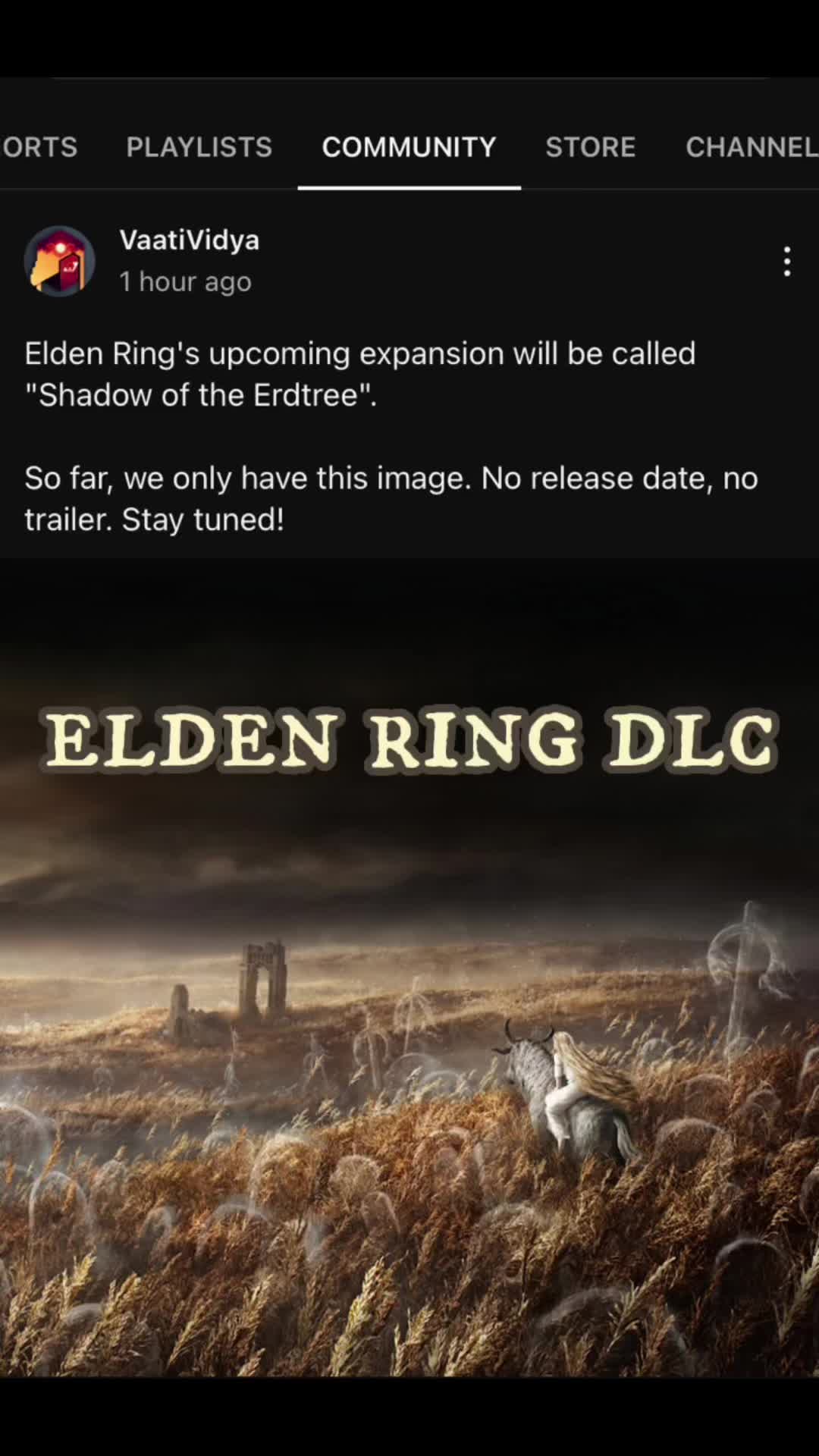 @elsenor_ring