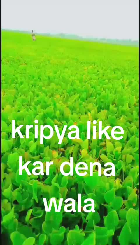 @hariomrana942Dj