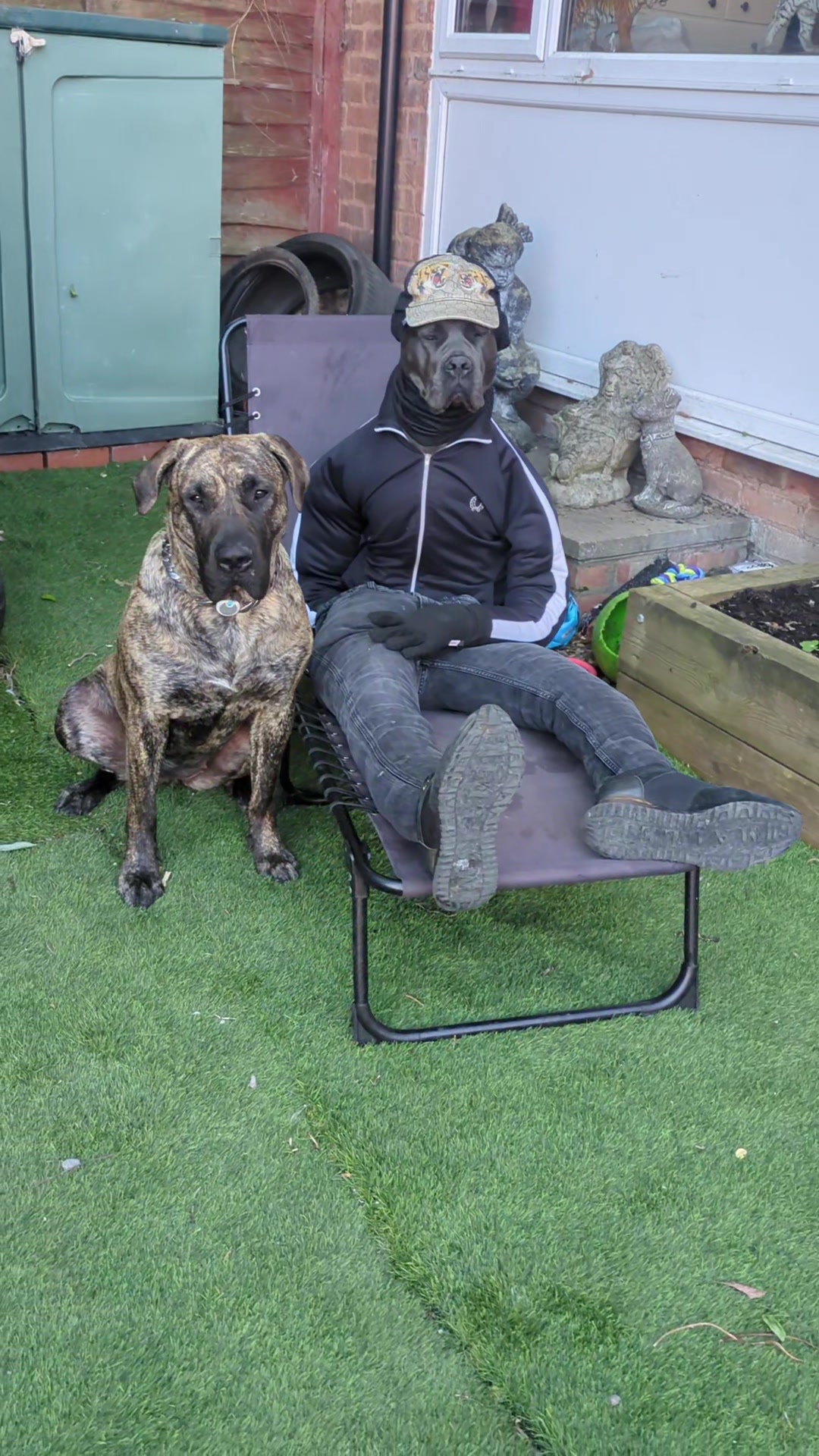 @mist_the_canecorso