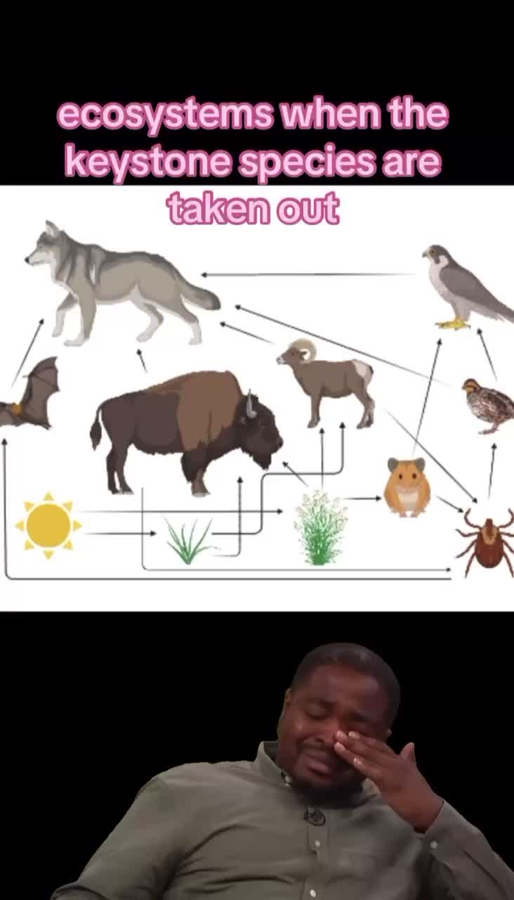 @GetAPBIOed