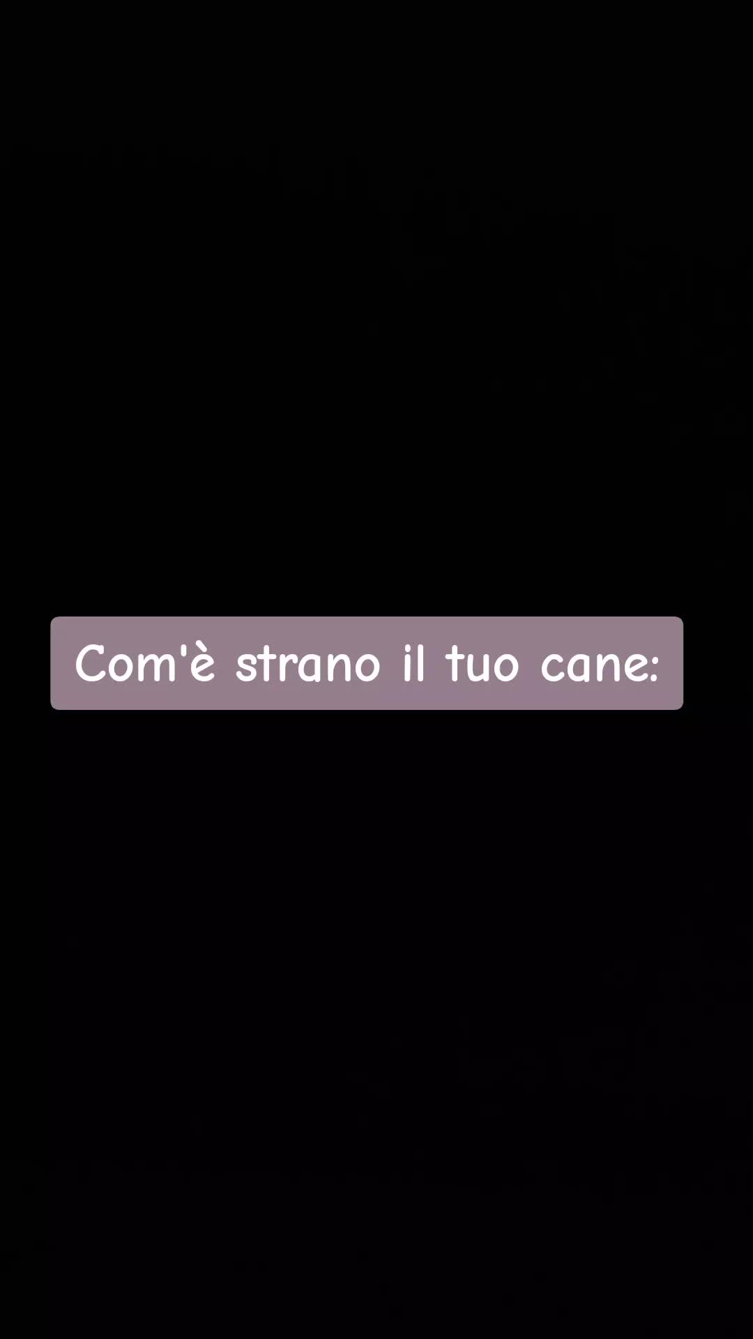 @francescabencivenga
