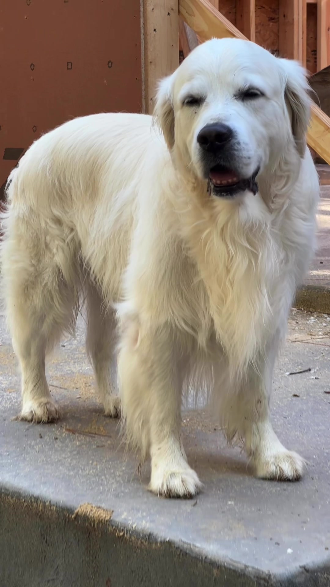 @Brock Builds