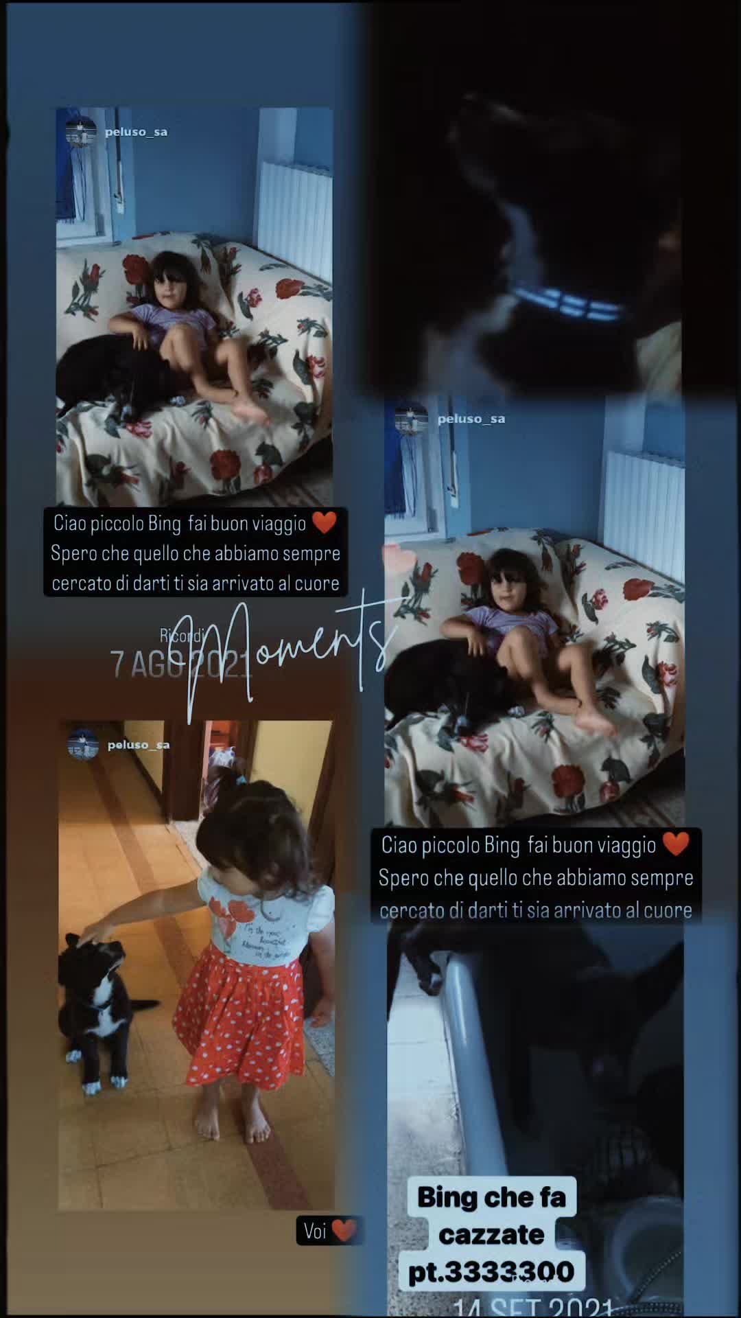 @Peluso Sara