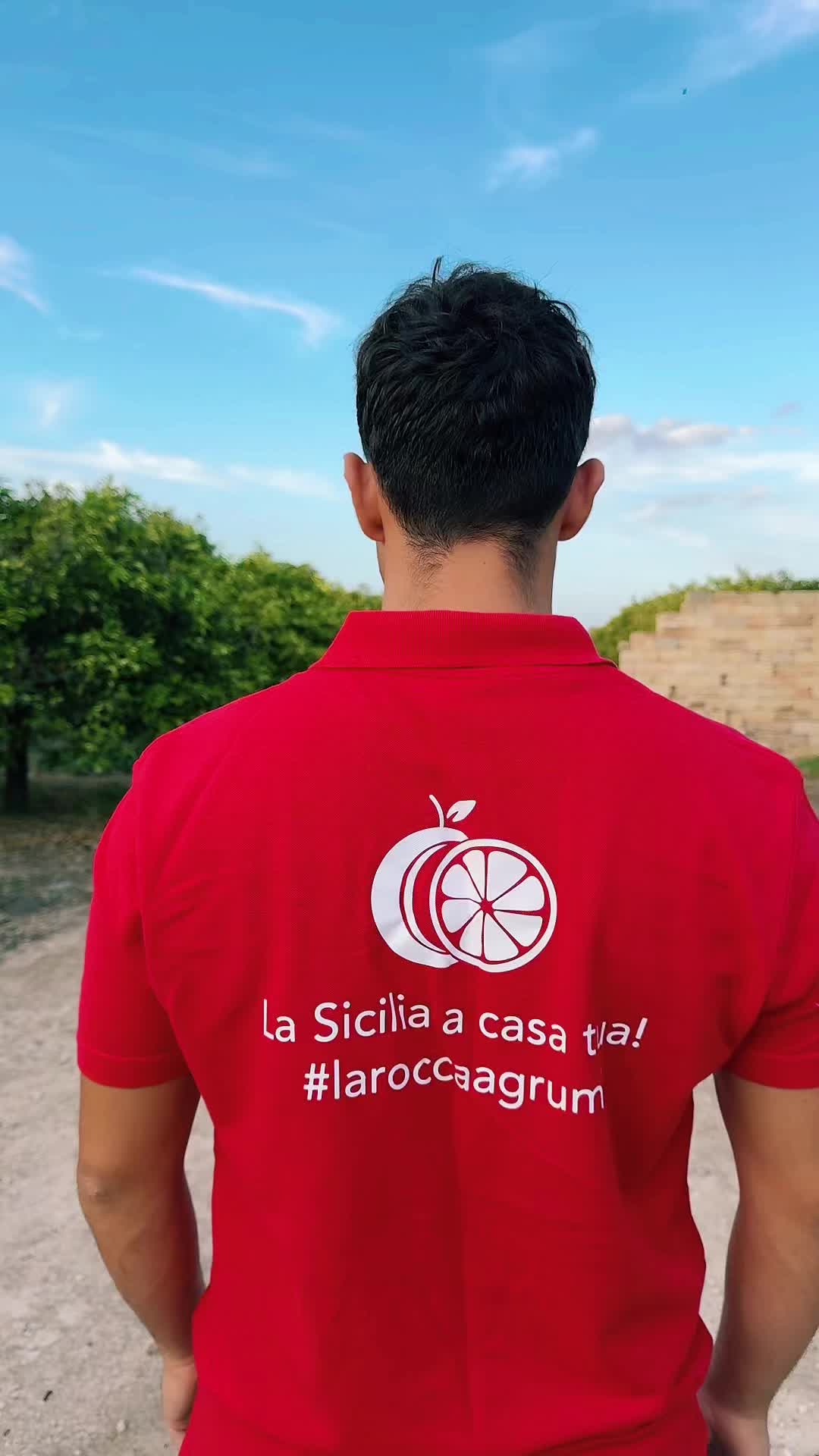 @laroccaagrumi.it