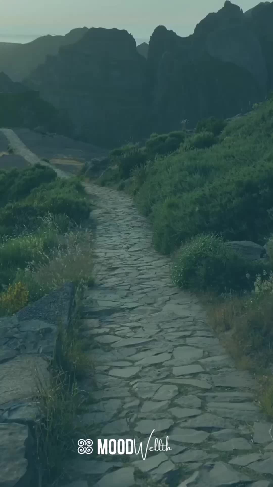 @Moodwellth