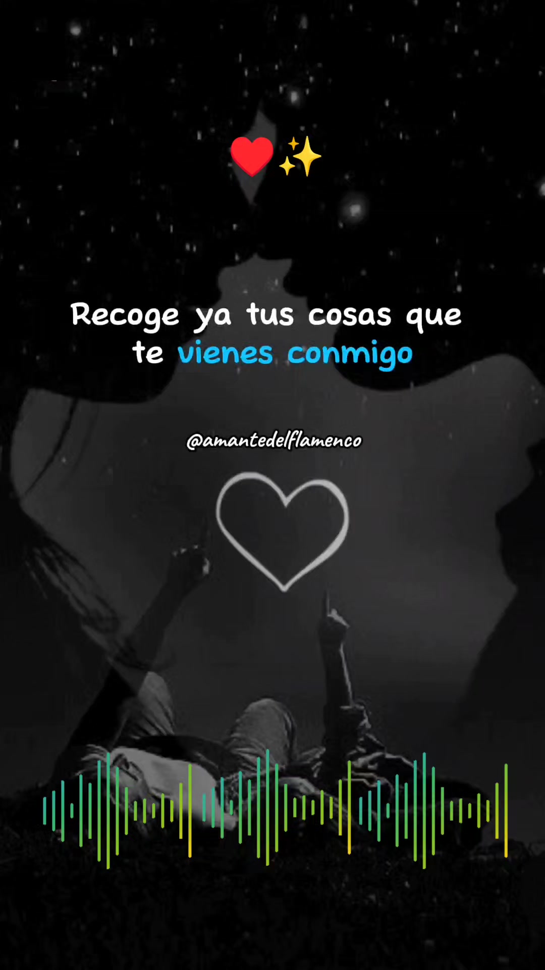 @✨AmanteDelFlamenco✨
