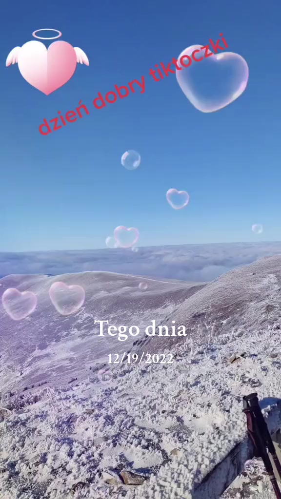 @💙🐼hejka tu WIKTOR🐼®💙