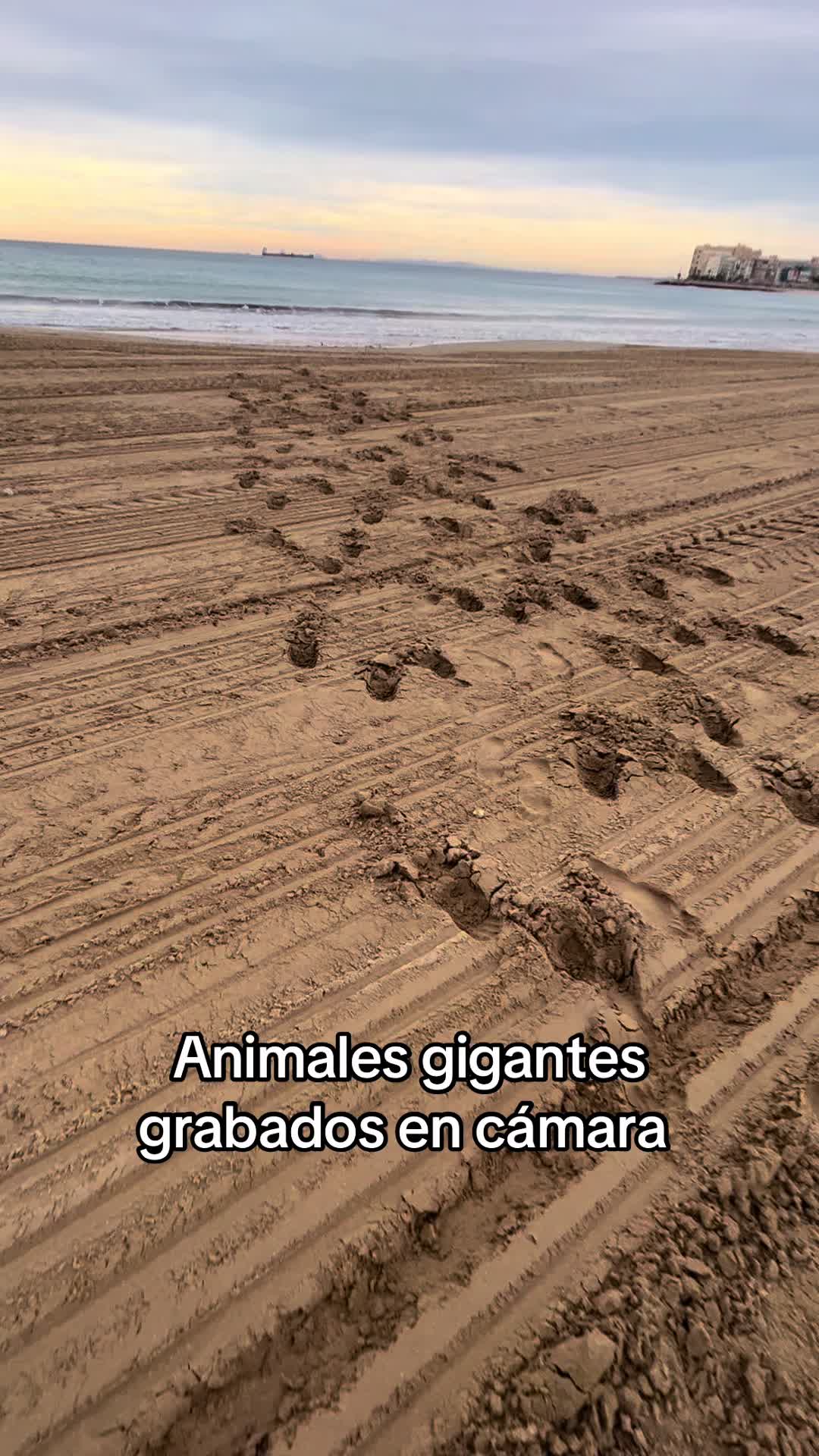 @CURIOSIDADES