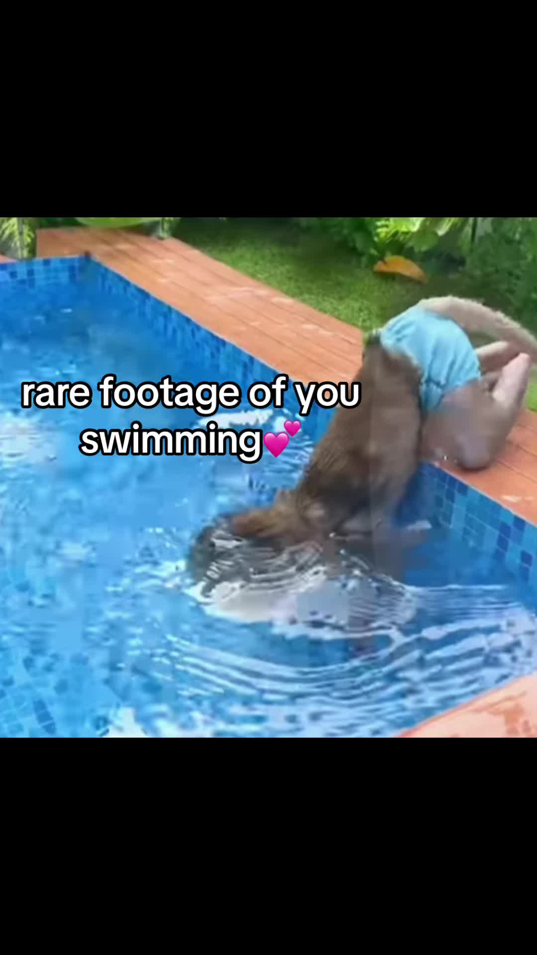 @ufunnehclips