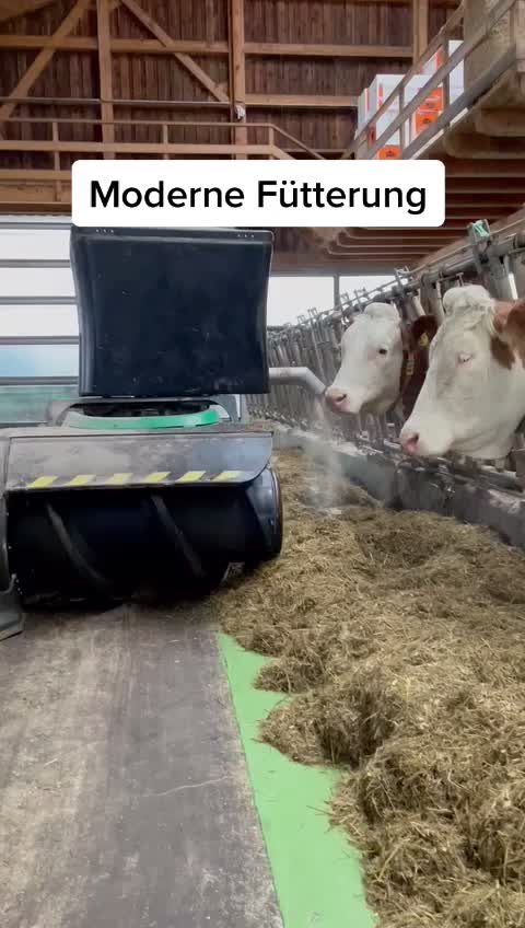 @3 Jahre LFS Vöcklabruck