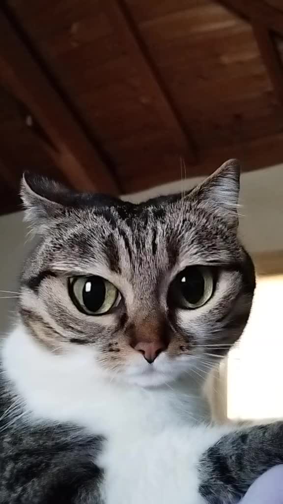 @๐ณ๏ธ๐Dora eyes