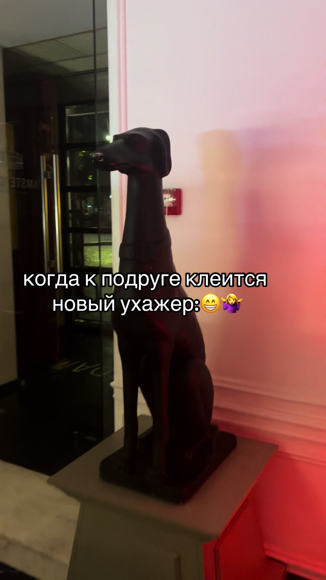 @Юлия Морковна ☑️
