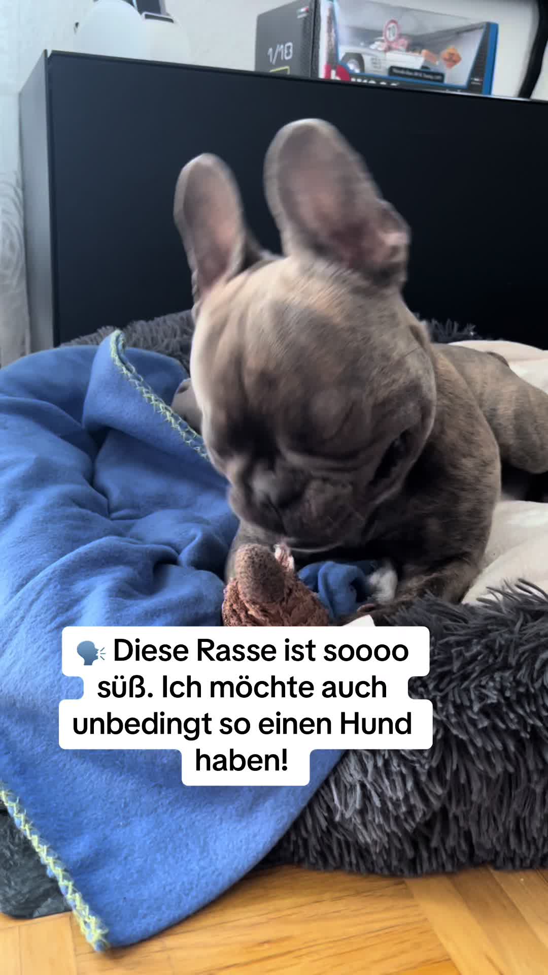 @Der Bommelboss &hearts;️