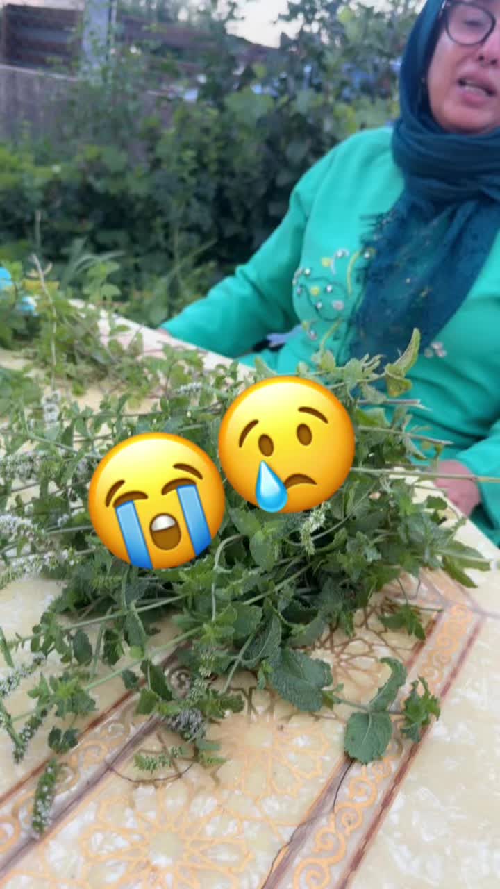 @char9aouia شرقاوية