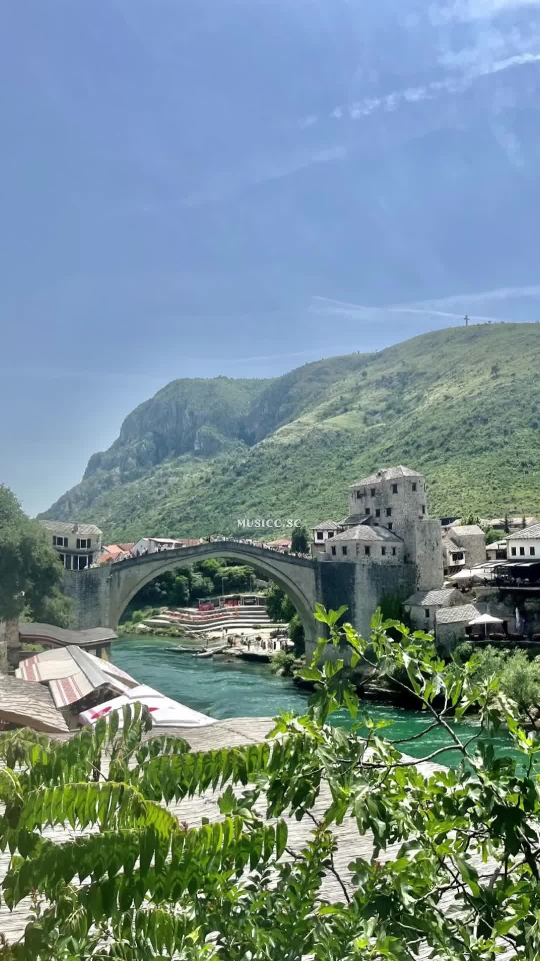@𝐌𝐔𝐒𝐈𝐂𝐂.𝐒𝐂