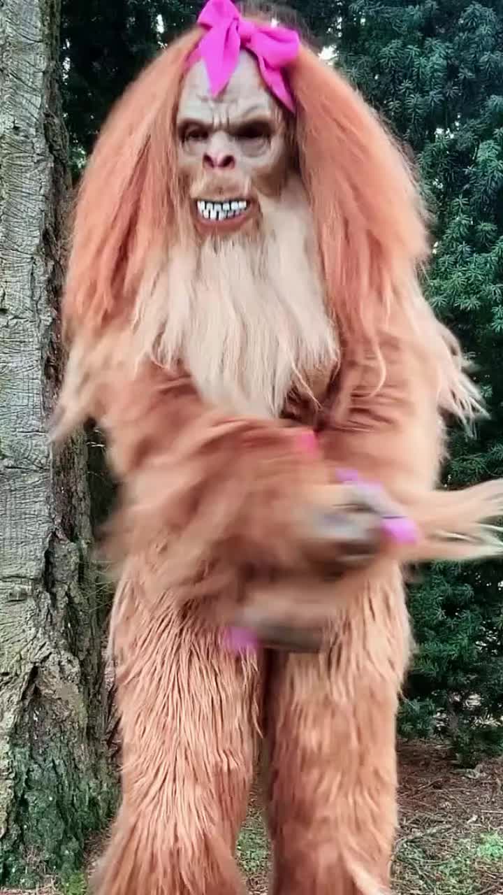 @Laughing Tails