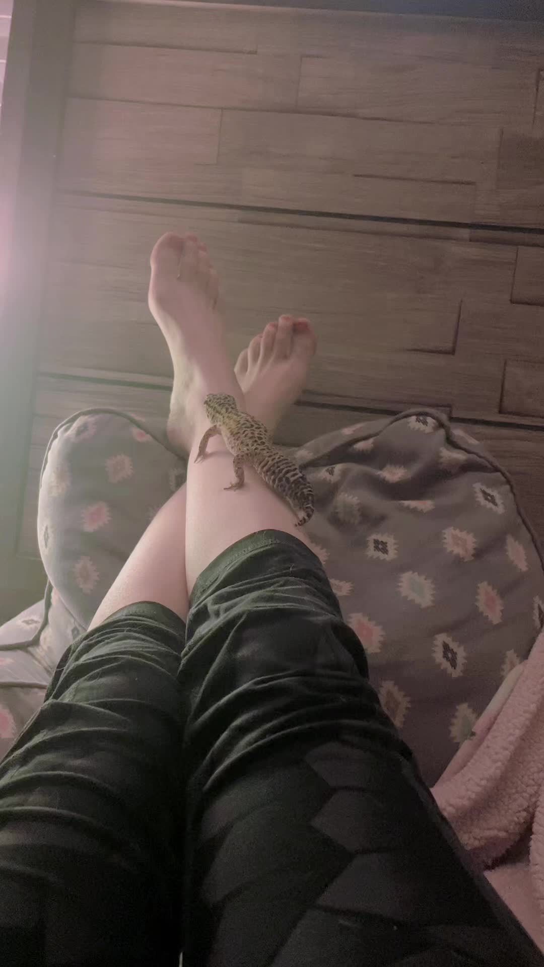 @т&alpha;y&bull;င☻☻၈န