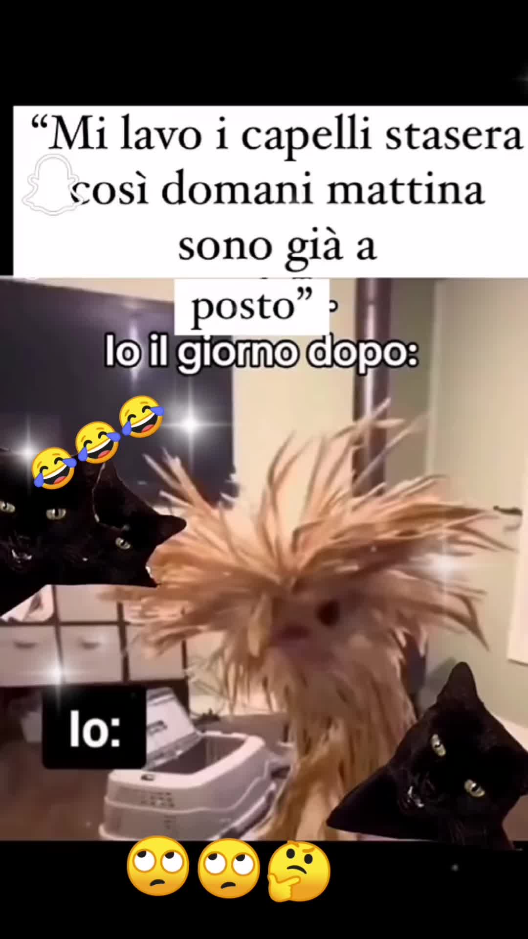 @SofiaSalvatore💖