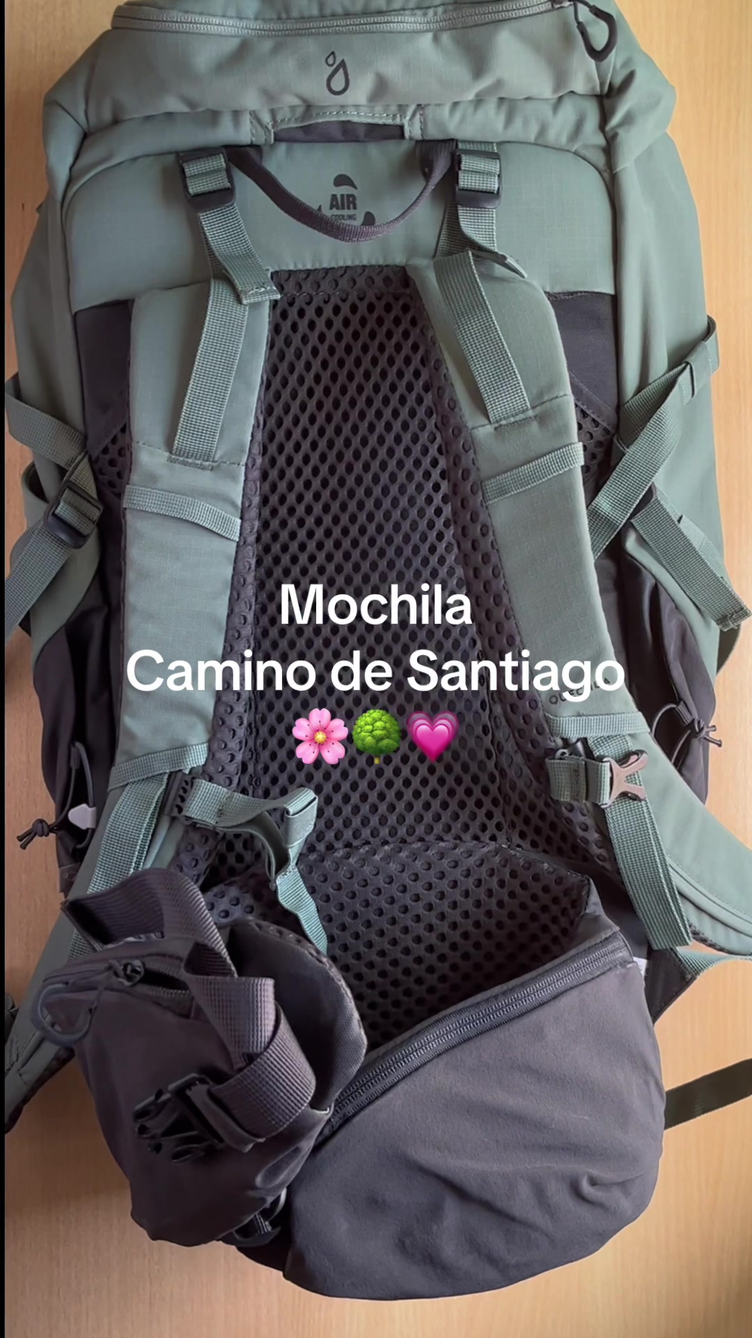 @Monica Rayo