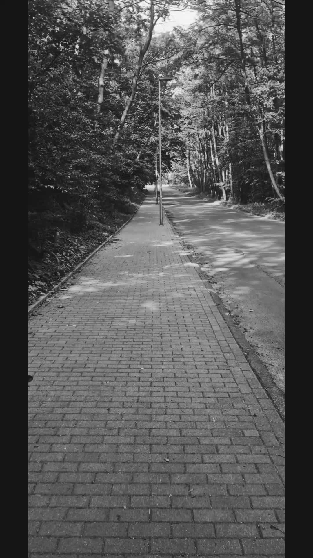 @Narrator Życia