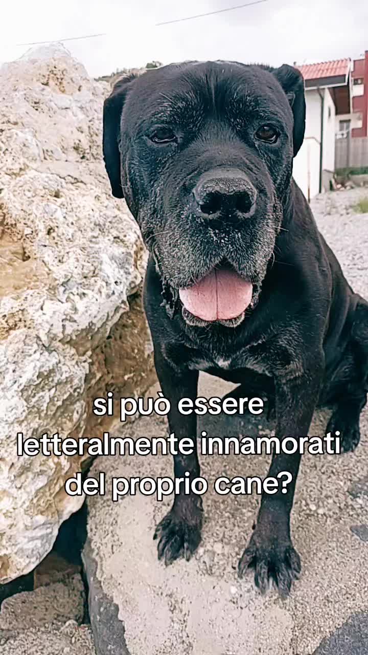@🐾❤️ERICA&ATTILA🤍🪽🐾