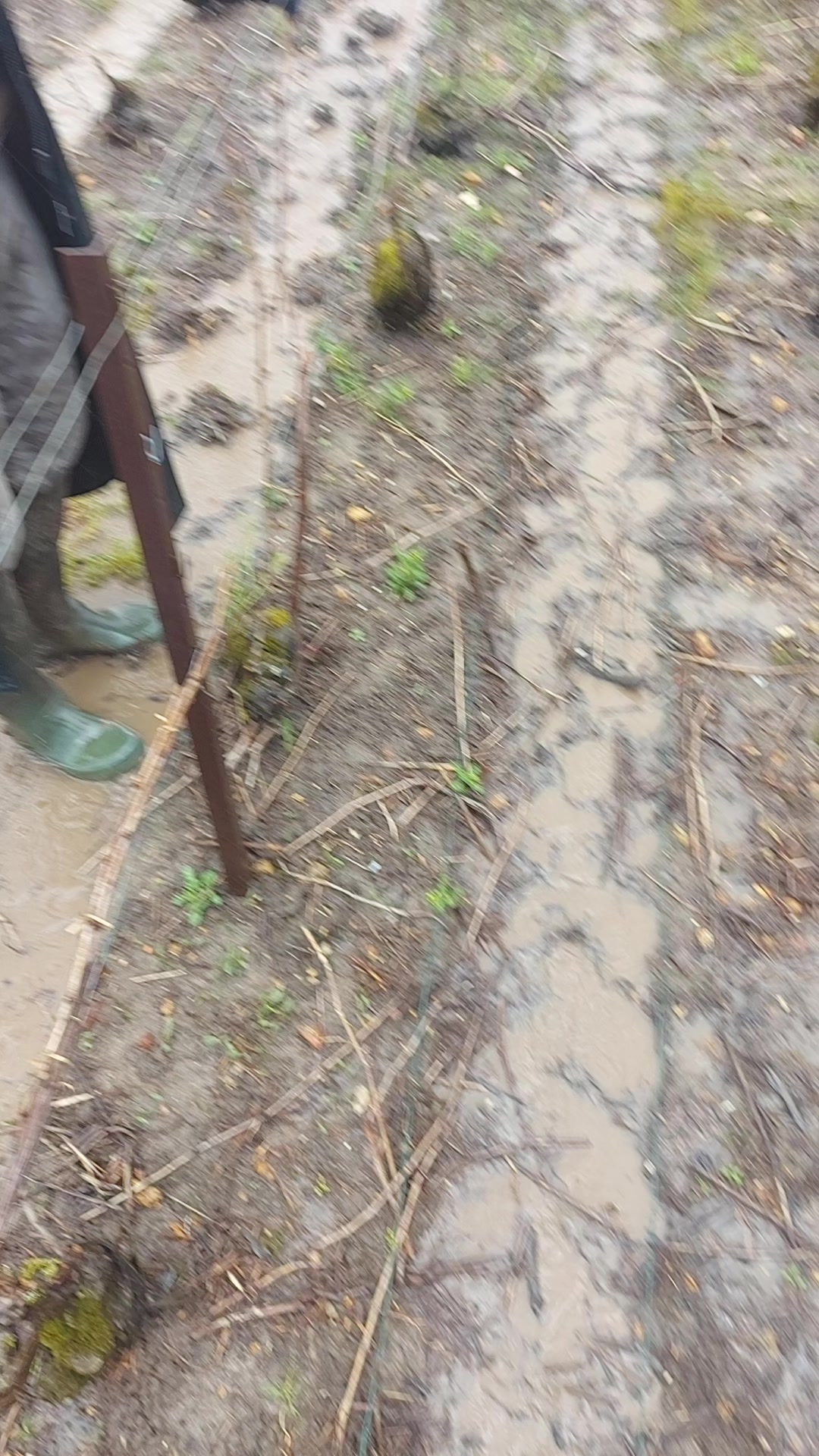 @Maxime Boboz