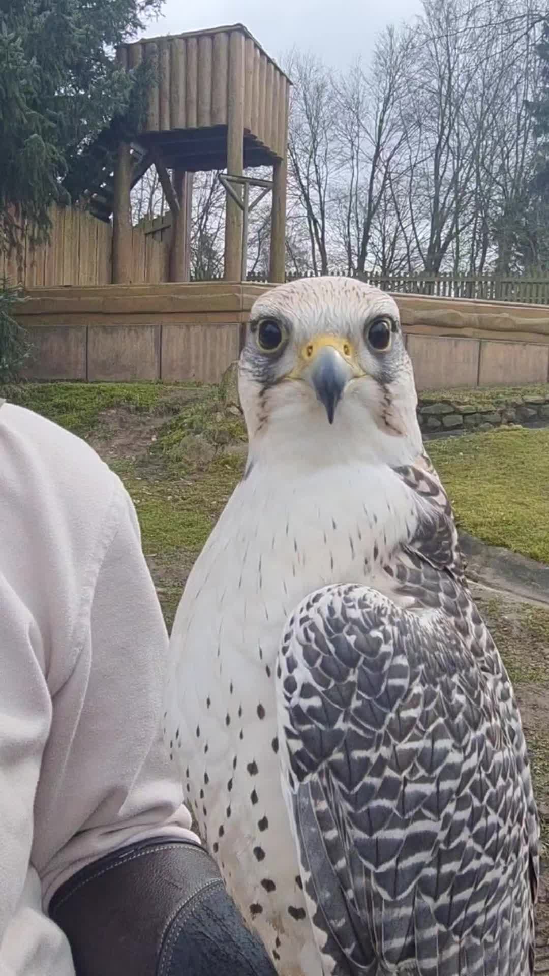 @WildparkLH
