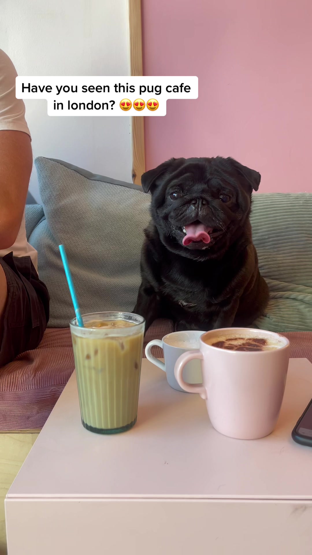 @CuppaPug