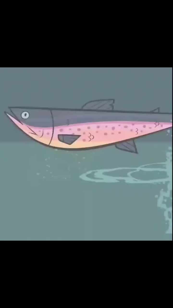 @ven !! 🇲🇹