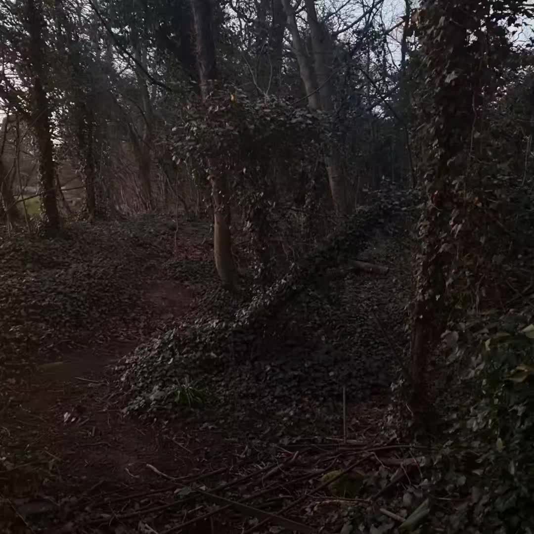 @ㅤ