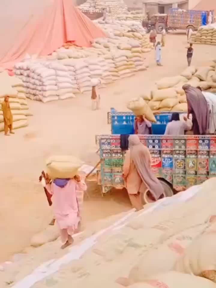 @Rashiddeenri301