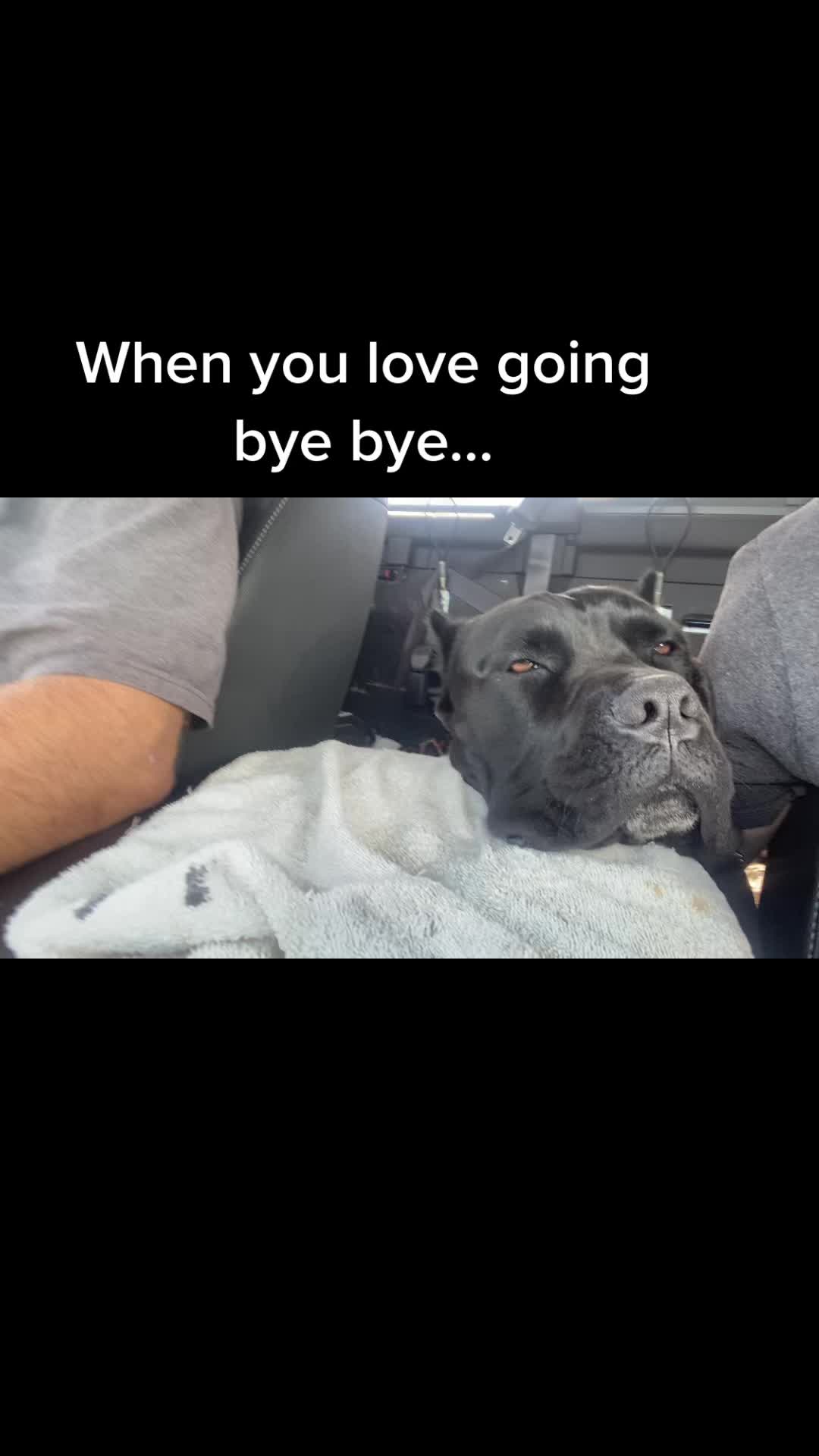 @Mia & Arlo