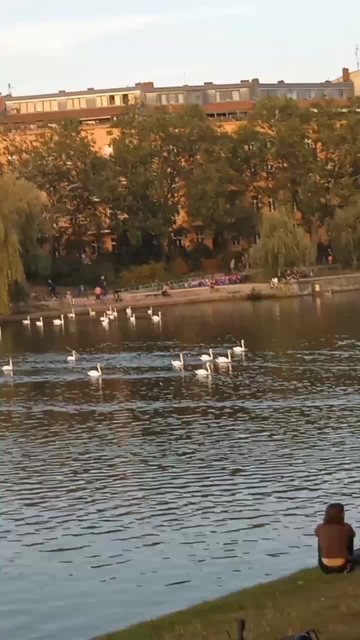 @Servet63Berlin
