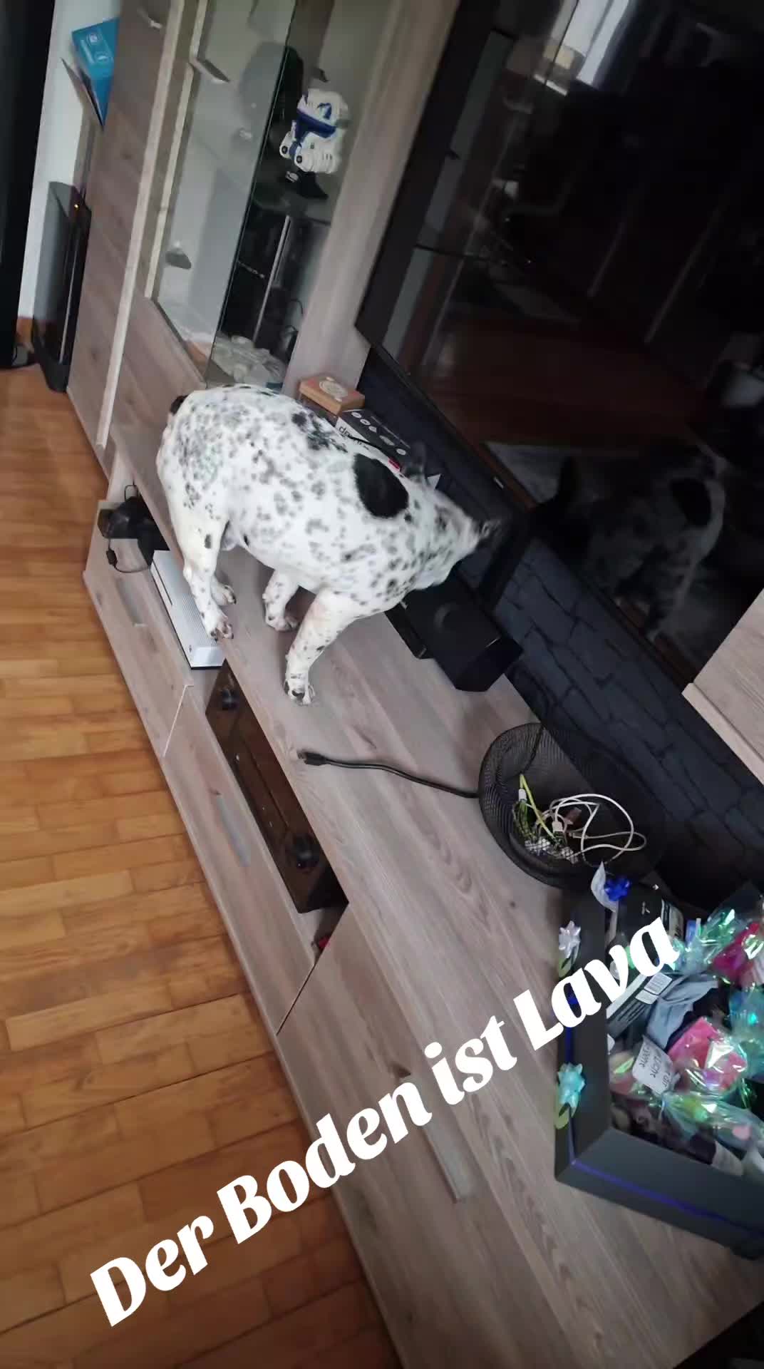 @Caya und Tyson ✝️