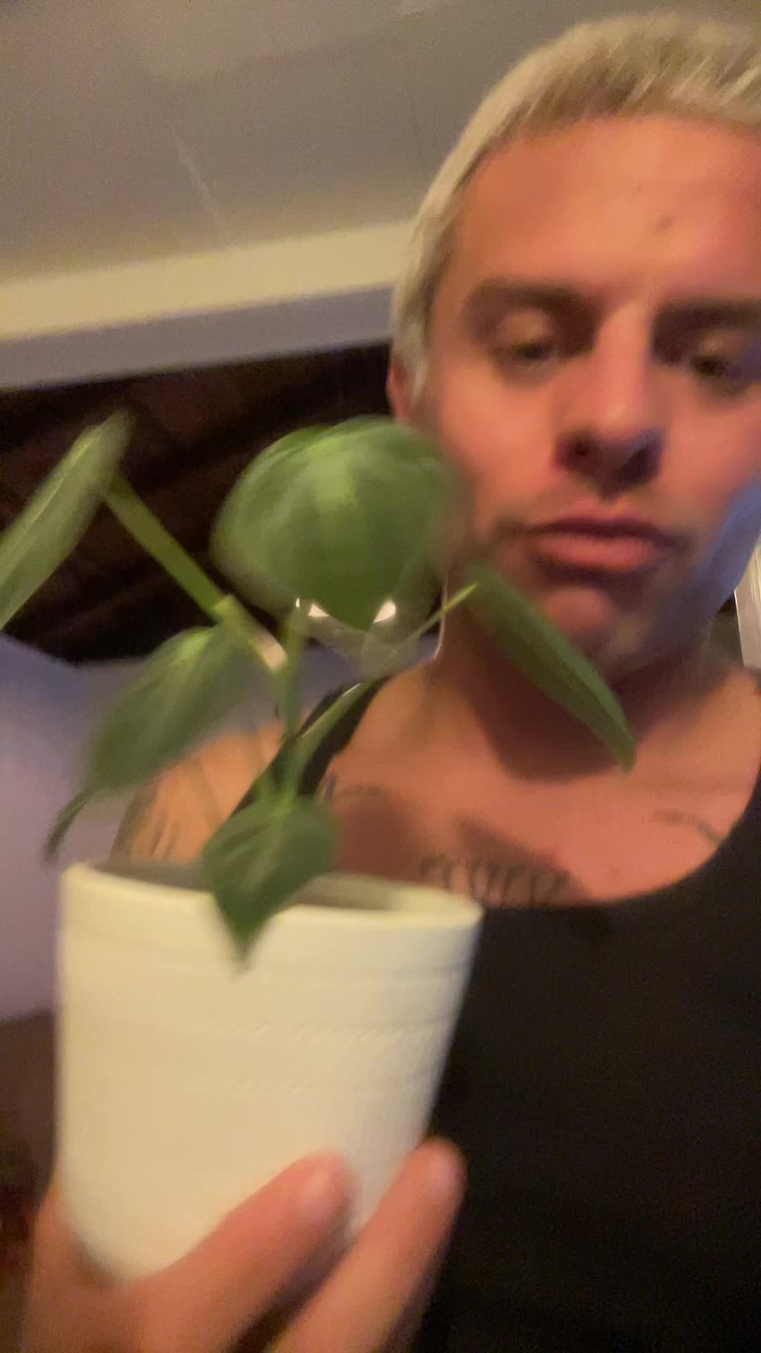 @jonmikeromeo23