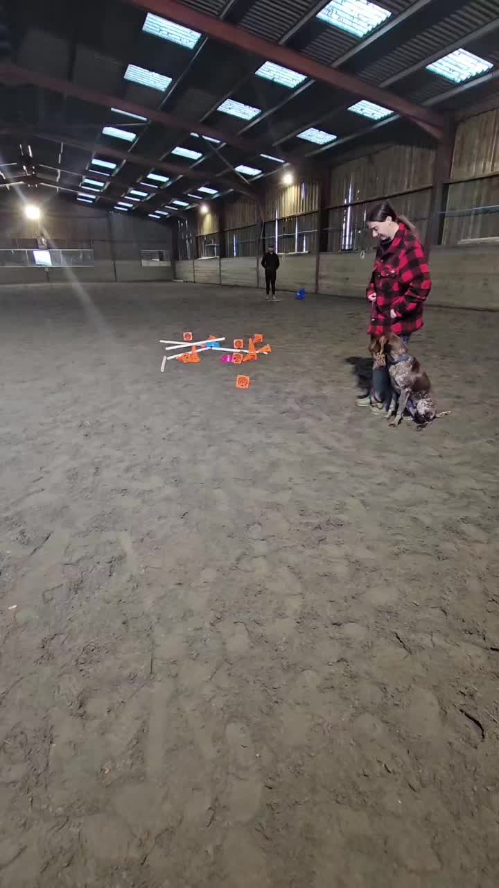 @Paw By Paw Dog Training